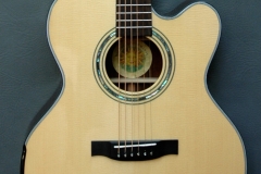 Custom built acoustic guitar